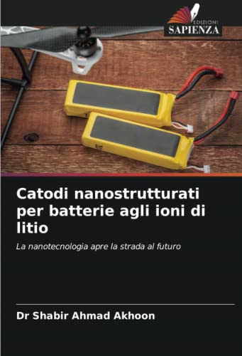 Beispielbild fr Catodi nanostrutturati per batterie agli ioni di litio zum Verkauf von PBShop.store US
