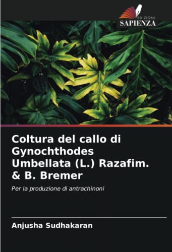 Stock image for Coltura del callo di Gynochthodes Umbellata (L.) Razafim. & B. Bremer for sale by BuchWeltWeit Ludwig Meier e.K.