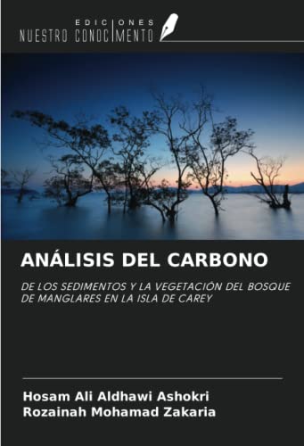 Stock image for ANLISIS DEL CARBONO for sale by BuchWeltWeit Ludwig Meier e.K.