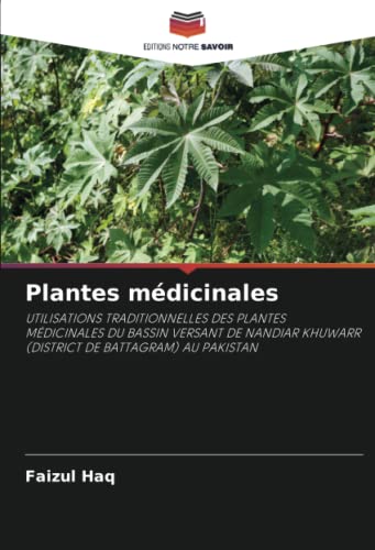 9786204816944: Plantes mdicinales: UTILISATIONS TRADITIONNELLES DES PLANTES MDICINALES DU BASSIN VERSANT DE NANDIAR KHUWARR (DISTRICT DE BATTAGRAM) AU PAKISTAN