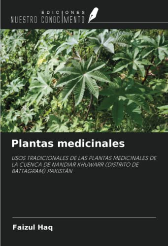 Stock image for Plantas medicinales for sale by BuchWeltWeit Ludwig Meier e.K.