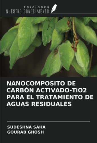 9786204924625: NANOCOMPOSITO DE CARBN ACTIVADO-TiO2 PARA EL TRATAMIENTO DE AGUAS RESIDUALES