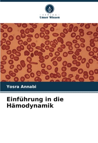 Imagen de archivo de Einfhrung in die Hmodynamik a la venta por BuchWeltWeit Ludwig Meier e.K.