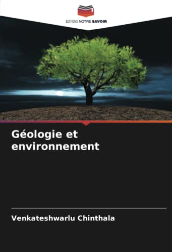 Stock image for G?ologie et environnement for sale by PBShop.store US