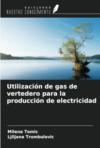 Stock image for Utilizacin de gas de vertedero para la produccin de electricidad for sale by GreatBookPrices