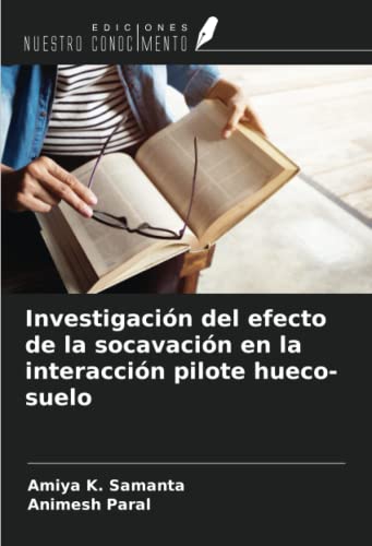 Stock image for Investigacin del efecto de la socavacin en la interaccin pilote hueco-suelo for sale by BuchWeltWeit Ludwig Meier e.K.