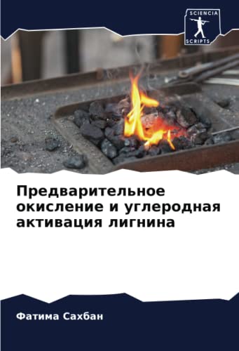 9786205929865: Предварительное окисление и углеродная активация лигнина (Russian Edition)