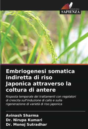 9786206037286: Embriogenesi somatica indiretta di riso Japonica attraverso la coltura di antere: Risposta temporale dei trattamenti con regolatori di crescita ... rigenerazione di variet di riso japonica