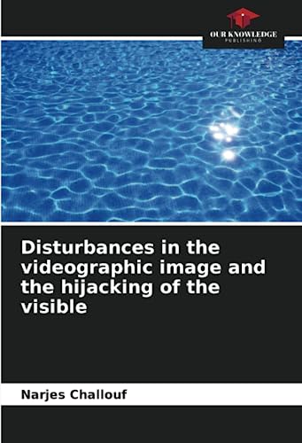 Beispielbild fr Disturbances in the videographic image and the hijacking of the visible zum Verkauf von BuchWeltWeit Ludwig Meier e.K.