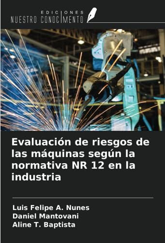 Stock image for Evaluacin de riesgos de las mquinas segn la normativa NR 12 en la industria for sale by BuchWeltWeit Ludwig Meier e.K.