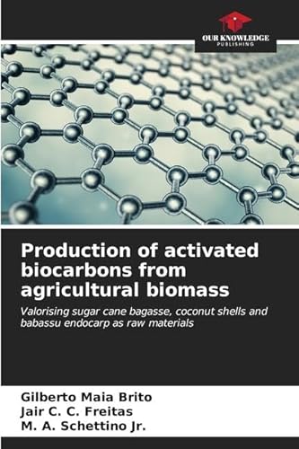 Beispielbild fr Production of activated biocarbons from agricultural biomass zum Verkauf von Ria Christie Collections