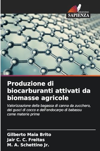 Beispielbild fr Produzione di biocarburanti attivati da biomasse agricole zum Verkauf von GreatBookPrices