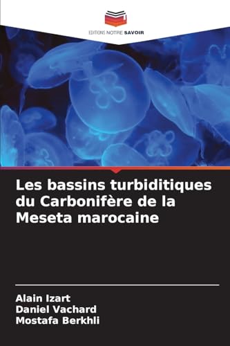 Stock image for Les bassins turbiditiques du Carbonifre de la Meseta marocaine for sale by BuchWeltWeit Ludwig Meier e.K.