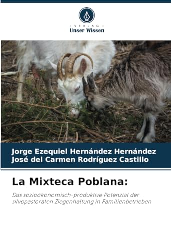 Imagen de archivo de La Mixteca Poblana (Paperback) a la venta por Grand Eagle Retail