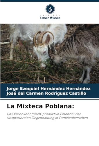 Stock image for La Mixteca Poblana (Paperback) for sale by Grand Eagle Retail