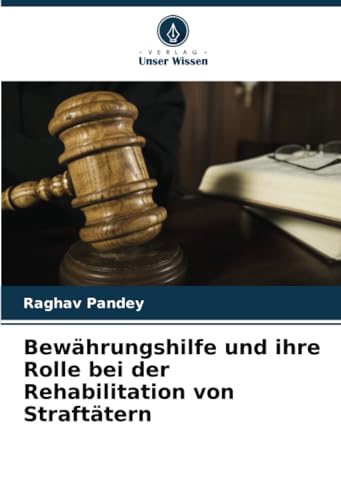 Imagen de archivo de Bewhrungshilfe und ihre Rolle bei der Rehabilitation von Strafttern a la venta por BuchWeltWeit Ludwig Meier e.K.