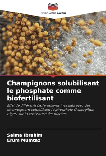 Stock image for Champignons solubilisant le phosphate comme biofertilisant for sale by BuchWeltWeit Ludwig Meier e.K.