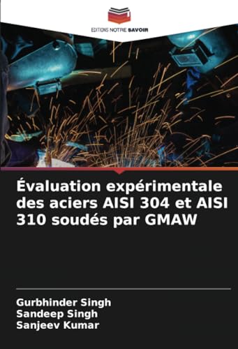 Beispielbild fr valuation exprimentale des aciers AISI 304 et AISI 310 souds par GMAW (French Edition) zum Verkauf von Ria Christie Collections