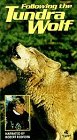 9786302775419: Following the Tundra Wolf [VHS]