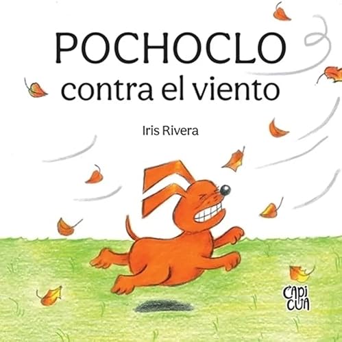 Imagen de archivo de POCHOCLO CONTRA EL VIENTO - CARTONE a la venta por Libros nicos