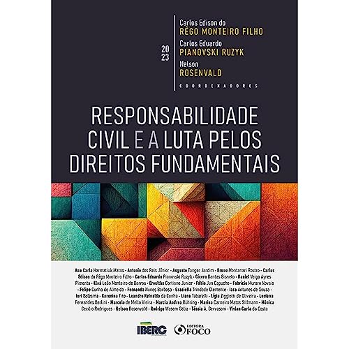 Stock image for responsabilidade civil e a luta pelos direitos fundamentais 1 edico 2023 foco for sale by LibreriaElcosteo