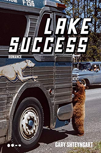Stock image for _ lake success Ed. 2019 for sale by LibreriaElcosteo