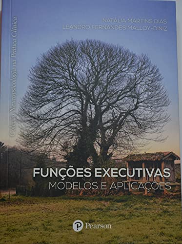 Stock image for funcoes executivas modelos e aplicacoes for sale by LibreriaElcosteo