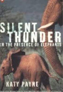 Imagen de archivo de Silent Thunder In the Presence of Elepha a la venta por SecondSale