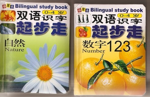 Stock image for Bilingual Study Book for sale by Hawking Books