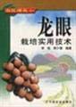 Imagen de archivo de Day farmers' income the pocket book: longan cultivation practical technology Li Tao Genuine(Chinese Edition) a la venta por liu xing