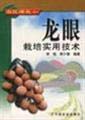 Stock image for Day farmers' income the pocket book: longan cultivation practical technology Li Tao Genuine(Chinese Edition) for sale by liu xing