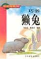 Beispielbild fr Days] farmers' income pocket book: Qiao Yang Rex Rabbit WU Xin-sheng [Genuine(Chinese Edition) zum Verkauf von liu xing