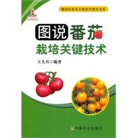 9787109151093: Illustrated key technology Tomato [paperback](Chinese Edition)