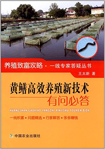 Stock image for Eel efficient breeding new technology have craigslist(Chinese Edition) for sale by liu xing