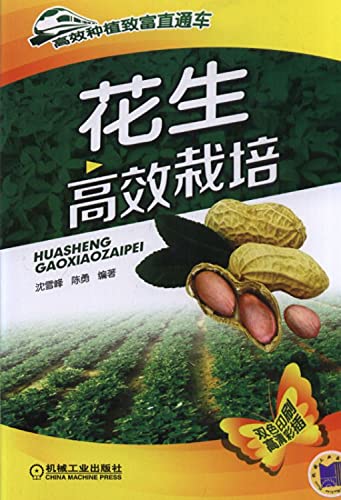 Imagen de archivo de Peanut efficient cultivation(Chinese Edition) a la venta por liu xing