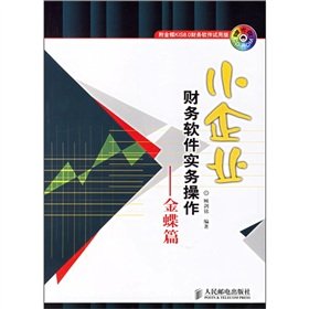 9787115156907: 小企业财务软件实务操作金碟篇（附光盘1张）