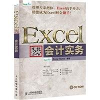 Stock image for Excel efficient office: Accounting Practice(Chinese Edition) for sale by Hawking Books