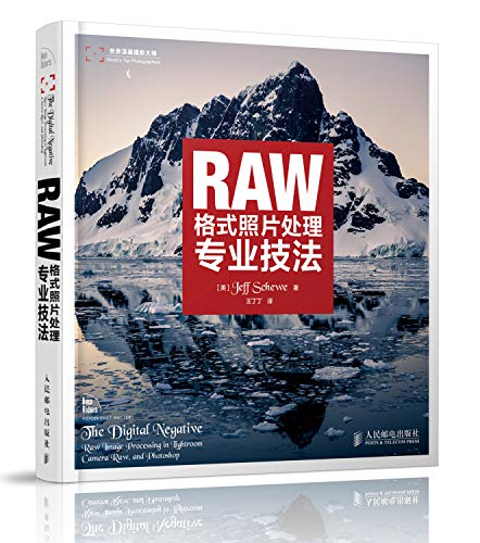 Stock image for RAW format professional photo processing techniques(Chinese Edition) for sale by liu xing
