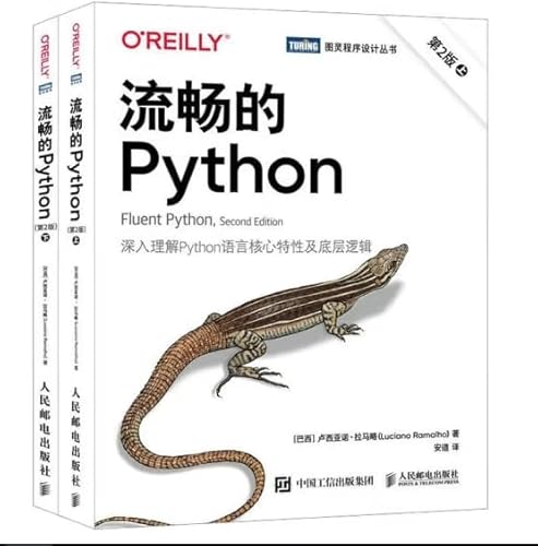 Stock image for Fluent Python (2nd Edition)(Chinese Edition) for sale by liu xing