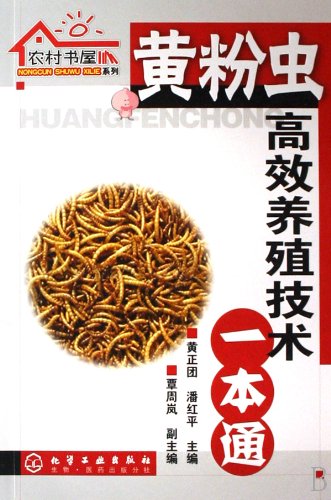 Imagen de archivo de Tenebrio efficient breeding technology a pass(Chinese Edition) a la venta por ReadCNBook