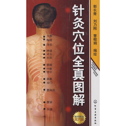 Imagen de archivo de acupuncture points all really graphic (with ear Figure 1) (Paperback) a la venta por SecondSale