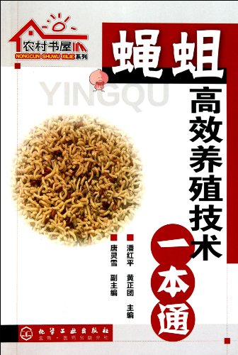 Imagen de archivo de Maggot efficient farming techniques a pass(Chinese Edition) a la venta por liu xing