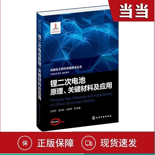 Immagine dell'editore per Advanced Chemical Materials Key Technology Series--The principle. key materials and applications of lithium secondary batteries(Chinese Edition) venduto da liu xing