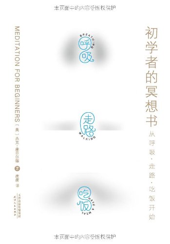 9787201082646: 初学者的冥想书