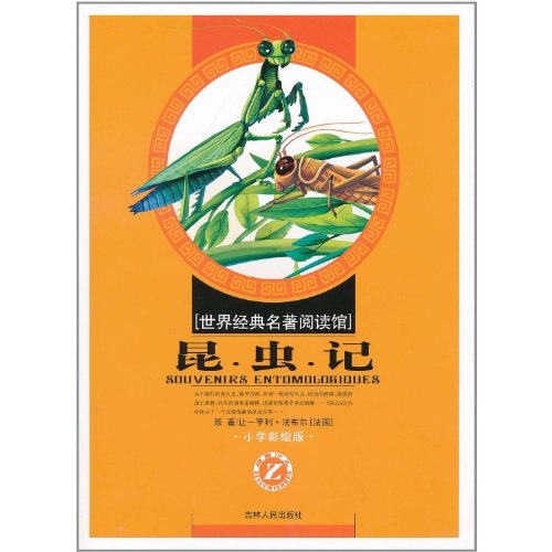 Imagen de archivo de Insect(Chinese Edition) a la venta por liu xing