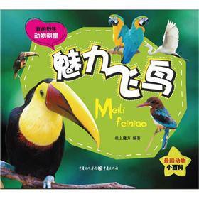 Imagen de archivo de Charm the birds(Chinese Edition) a la venta por liu xing