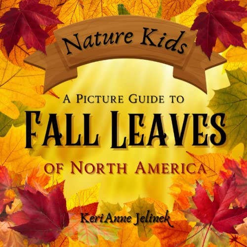 Stock image for A Picture Guide to Fall Leaves of North America - Fall Leaves of North America, Fall Leaves Book for Kids, Fall Leaves for Kids, Leafs for Kids, . Kids, Autumn Books for Kids (Fall Collection) for sale by GF Books, Inc.