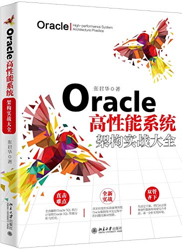9787301309612: Oracle高性能系统架构实战大全