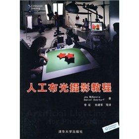 Stock image for artificial light photography tutorial cloth (paperback)(Chinese Edition) for sale by liu xing