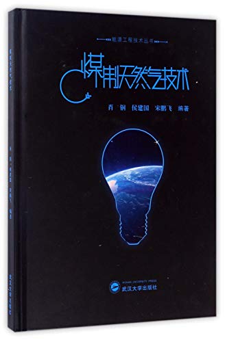 9787307176874: 煤制天然气技术/能源工程技术丛书